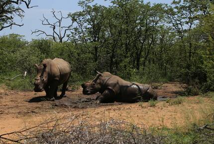 Lubberust Safari Lodge - Tuli Block, Botswana