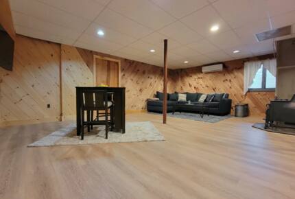 Finished basement with queen sofa bed