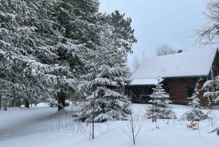 Starlight Cabin Ten Acre Retreat - Center Ossipee, New Hampshire
