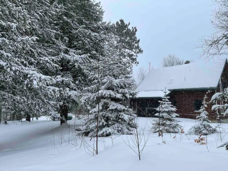 Starlight Cabin Ten Acre Retreat - Center Ossipee, New Hampshire