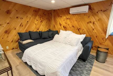 Finished basement with queen sofa bed