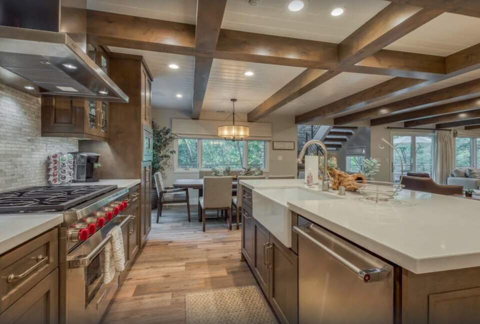 Chef's kitchen with island