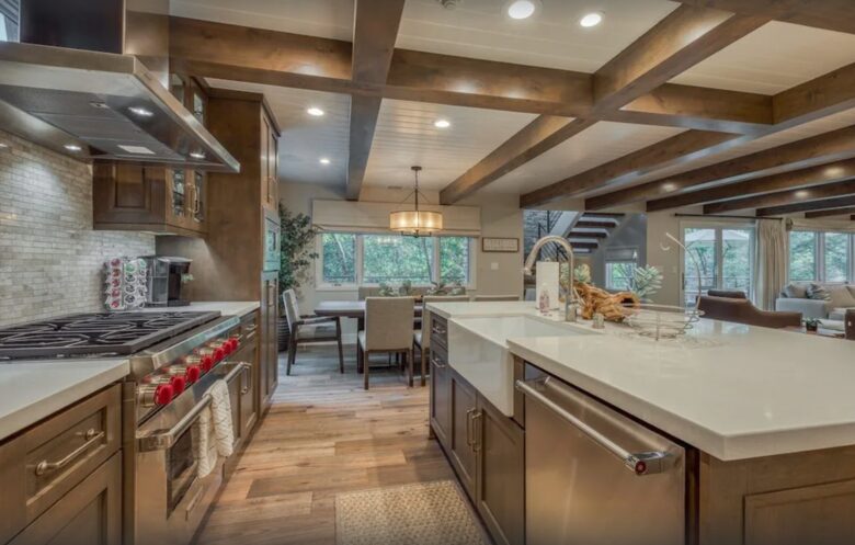 Chef's kitchen with island