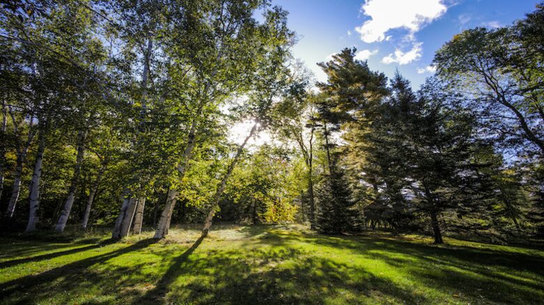 Far Horizon Estate - Lake Placid, New York