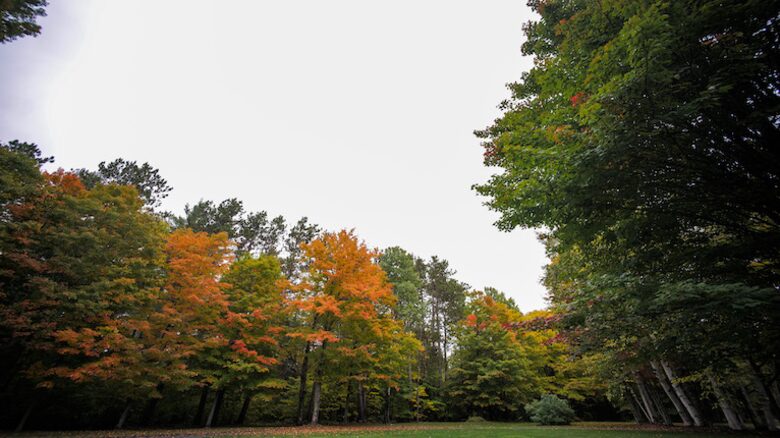 Far Horizon Estate - Lake Placid, New York