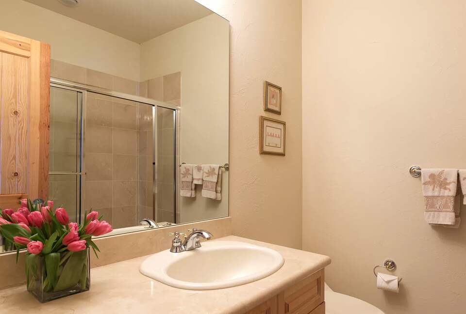 Home Exchange in Snowmass Village bathroom 2