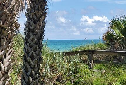 Pineapple Paradise Oceanfront Home - New Smyrna Beach, Florida