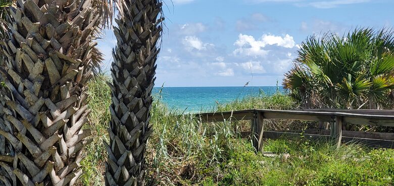 Pineapple Paradise Oceanfront Home - New Smyrna Beach, Florida