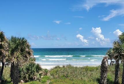 Pineapple Paradise Oceanfront Home - New Smyrna Beach, Florida