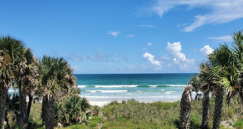 Pineapple Paradise Oceanfront Home - New Smyrna Beach, Florida