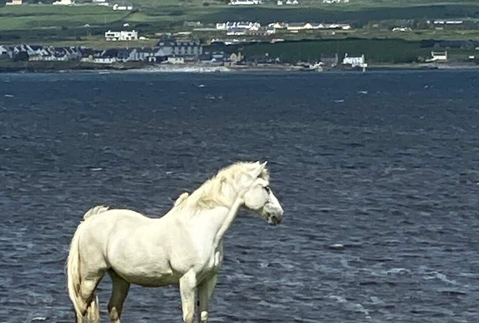Home Exchange in Ennis, Clare, Ireland