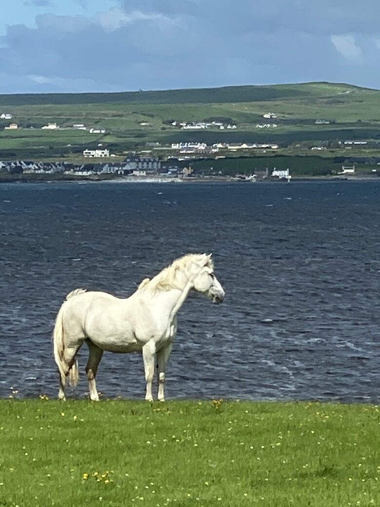 Home Exchange in Ennis, Clare, Ireland