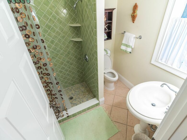 Pineapple Paradise Oceanfront Home - New Smyrna Beach, Florida