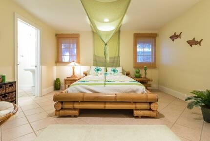 Pineapple Paradise Oceanfront Home - New Smyrna Beach, Florida