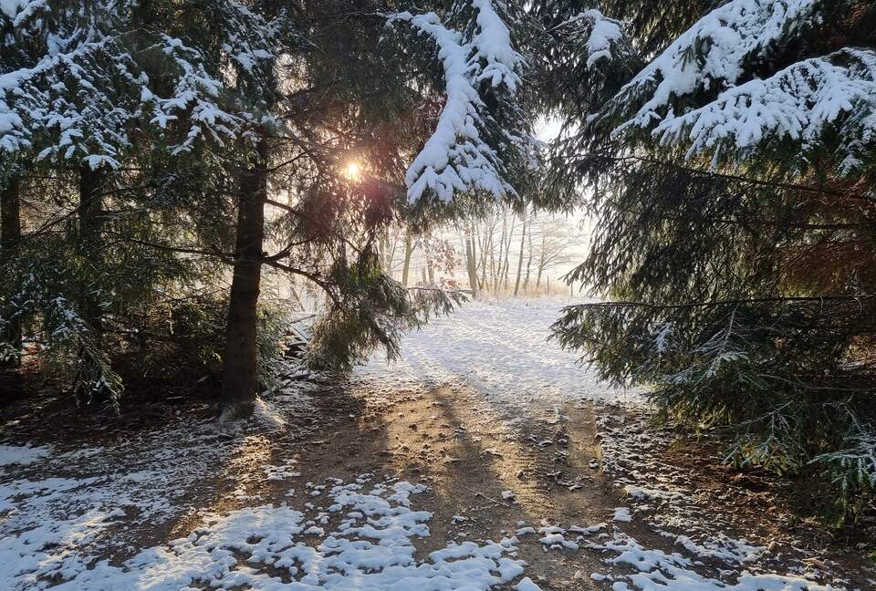 Lake House Wolny Las - Ławki, Poland