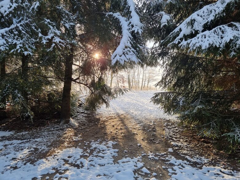 Lake House Wolny Las - Ławki, Poland