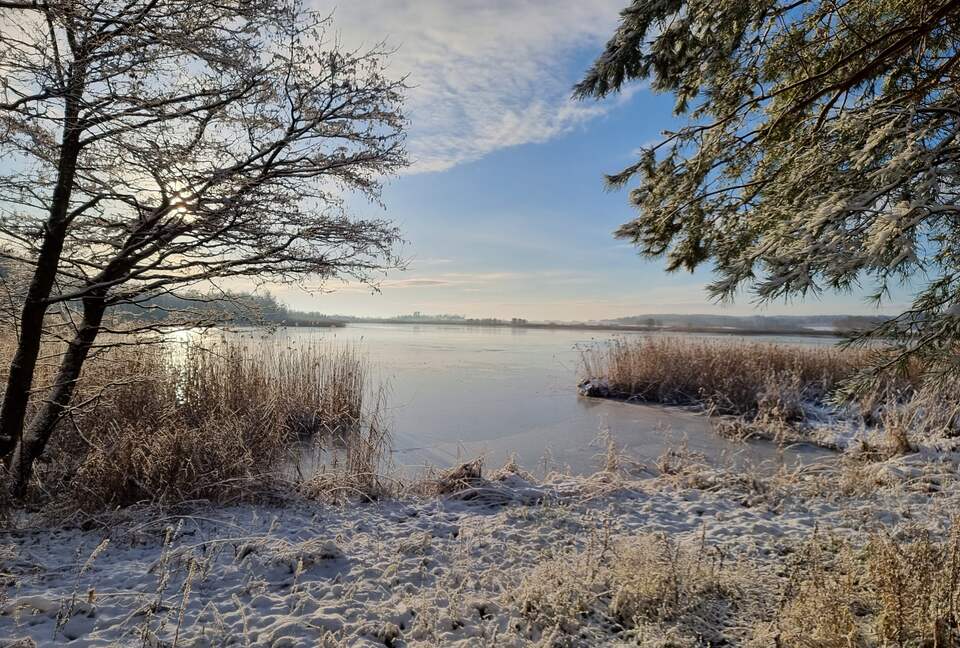 Lake House Wolny Las - Ławki, Poland