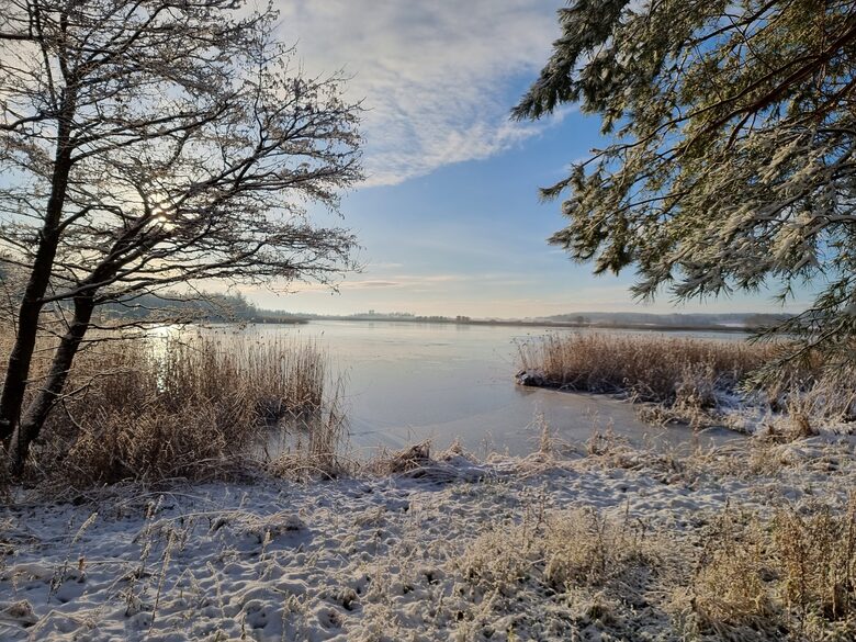 Lake House Wolny Las - Ławki, Poland