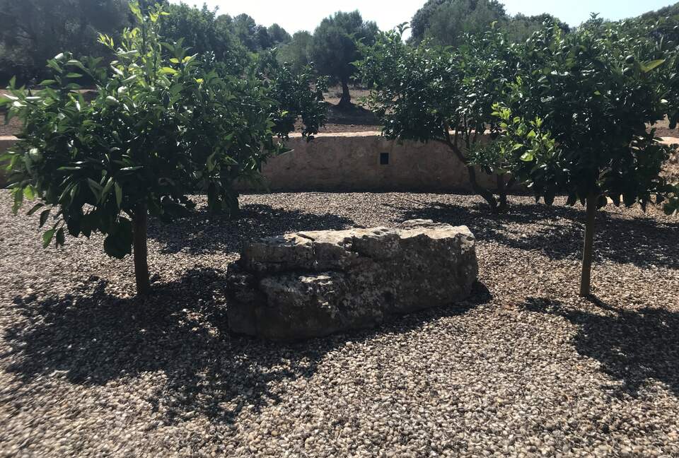 Modern Mallorca Finca - Artà, Spain