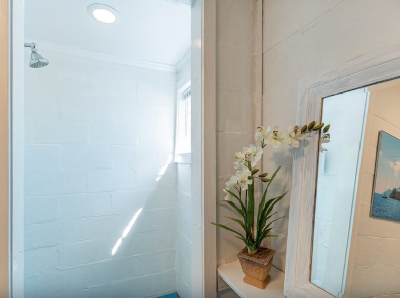 Extra shower in garage