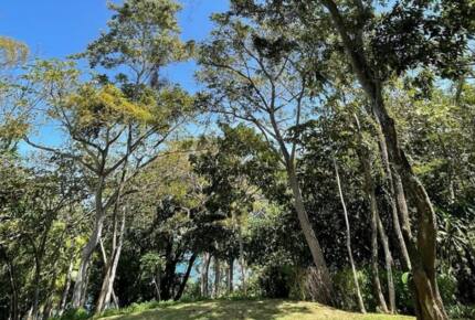 LaLoca private island - Isla de Pedro Gonzalez, Panama