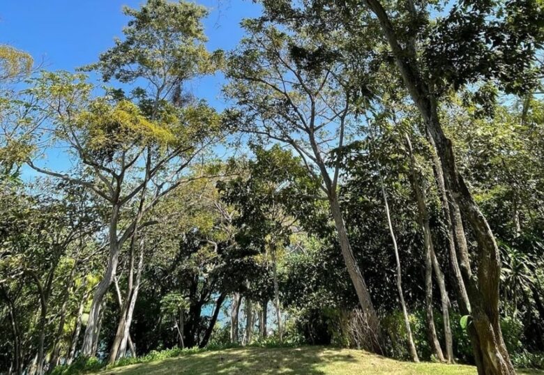 LaLoca private island - Isla de Pedro Gonzalez, Panama