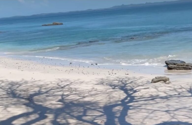 LaLoca private island - Isla de Pedro Gonzalez, Panama