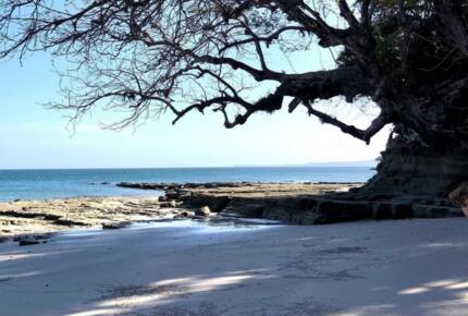 LaLoca private island - Isla de Pedro Gonzalez, Panama