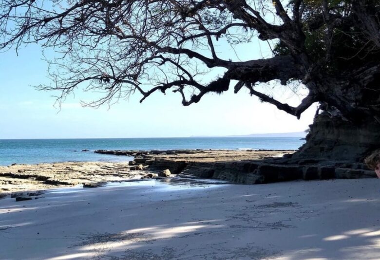 LaLoca private island - Isla de Pedro Gonzalez, Panama