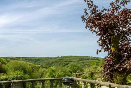 Bantam Cottage - Ilfracombe, United Kingdom