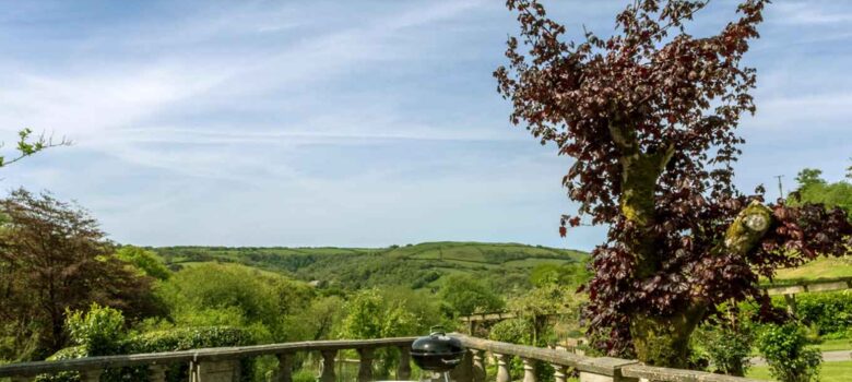 Bantam Cottage - Ilfracombe, United Kingdom