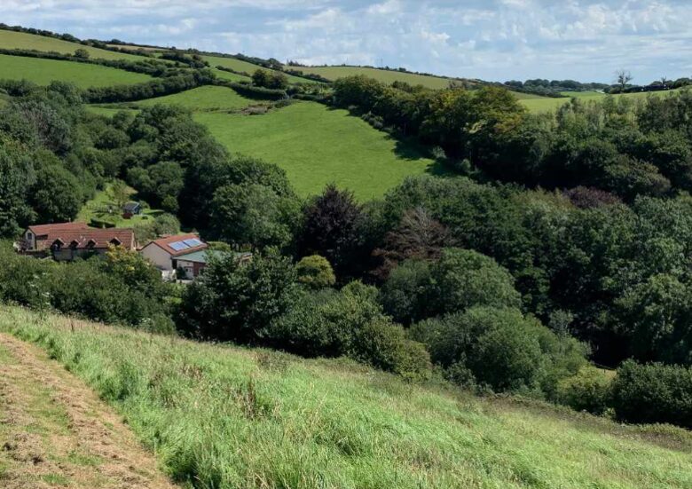 Bantam Cottage - Ilfracombe, United Kingdom