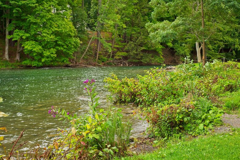 Home Exchange in Cooperstown, NY