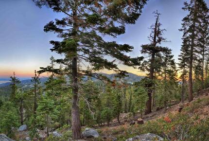 Heavenly Tahoe Lakeview Mountain Home - Stateline, Nevada