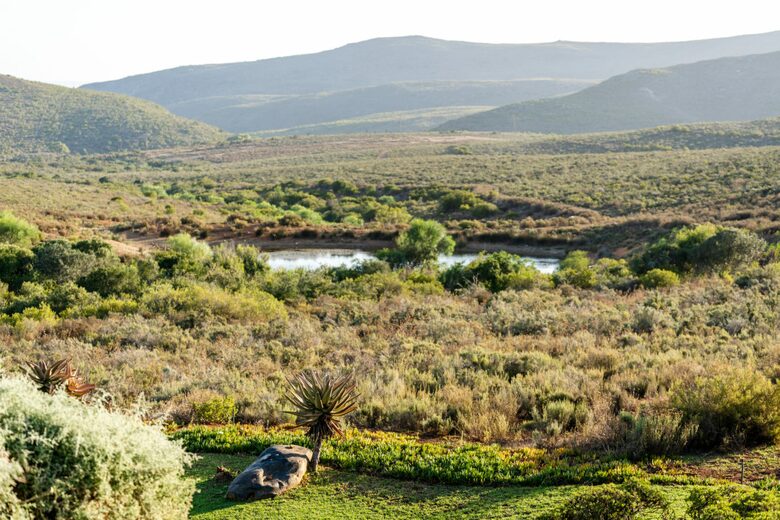Melozhori Game Reserve | The Lodge | All-inclusive - Stormsvlei, South Africa