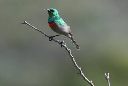 Melozhori Game Reserve | The Lodge | All-inclusive - Stormsvlei, South Africa