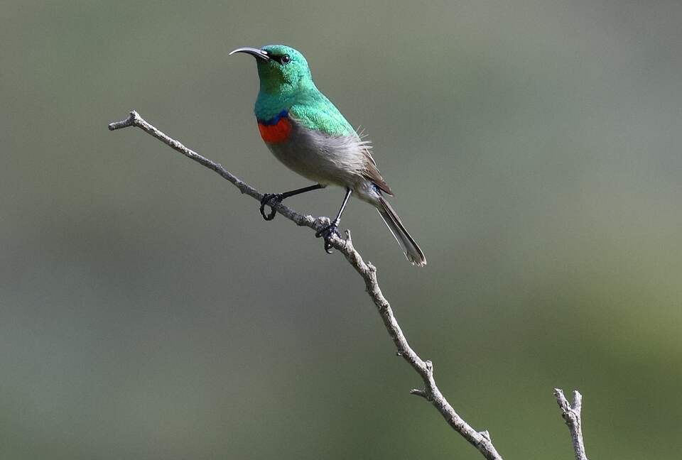Melozhori Game Reserve | The Pod - Stormsvlei, South Africa