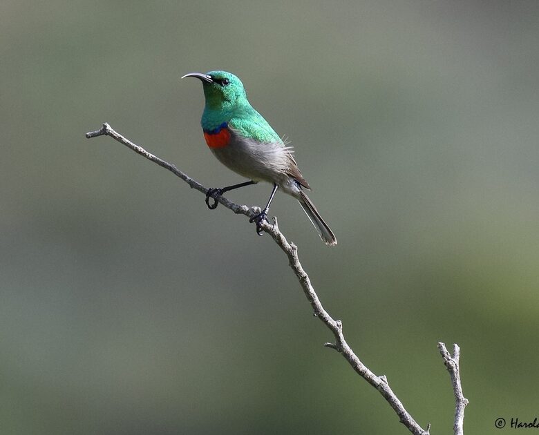 Melozhori Game Reserve | The Pod - Stormsvlei, South Africa