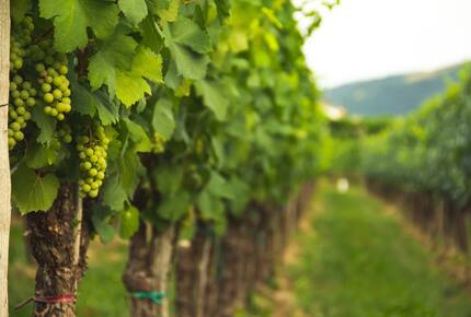 Melozhori Game Reserve | The Lodge | All-inclusive - Stormsvlei, South Africa