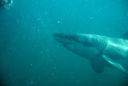 Melozhori Game Reserve | The Lodge | All-inclusive - Stormsvlei, South Africa