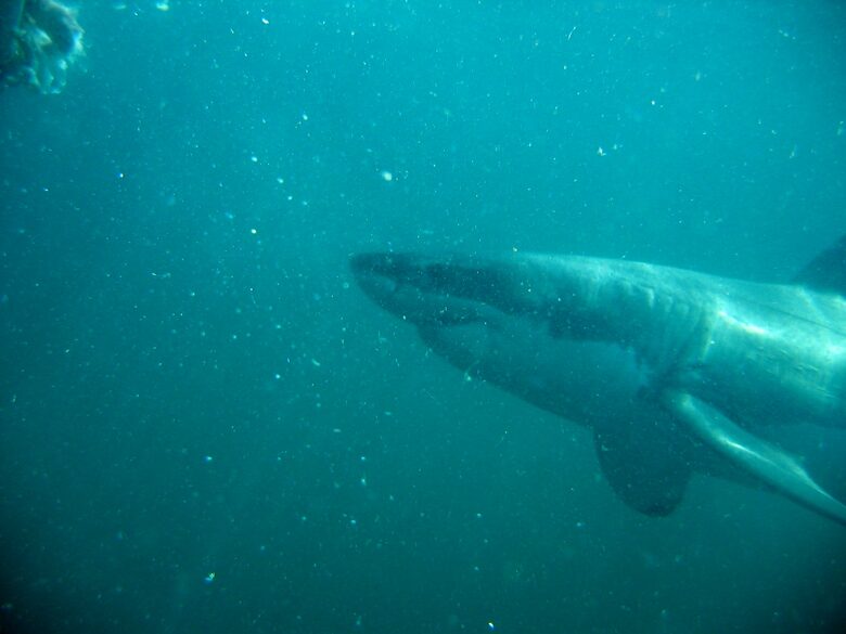 Melozhori Game Reserve | The Lodge | All-inclusive - Stormsvlei, South Africa