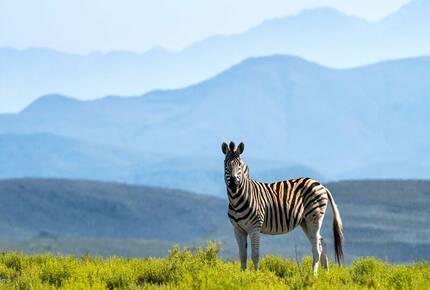 Melozhori Game Reserve | The Lodge | All-inclusive - Stormsvlei, South Africa