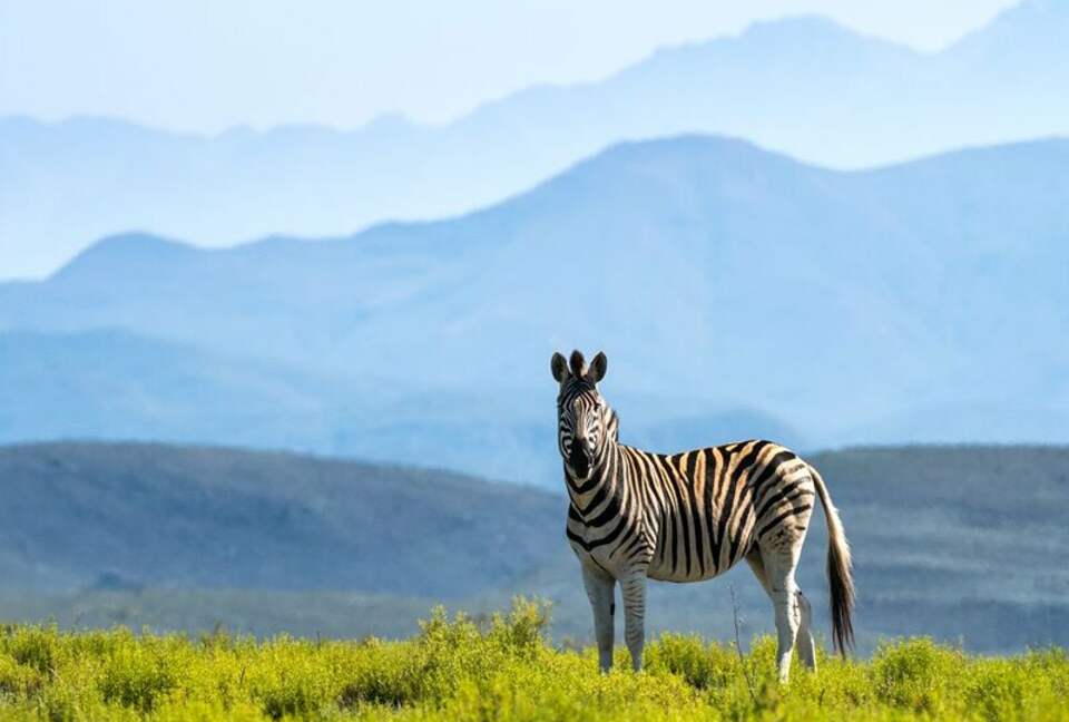 Melozhori Game Reserve | The Pod - Stormsvlei, South Africa