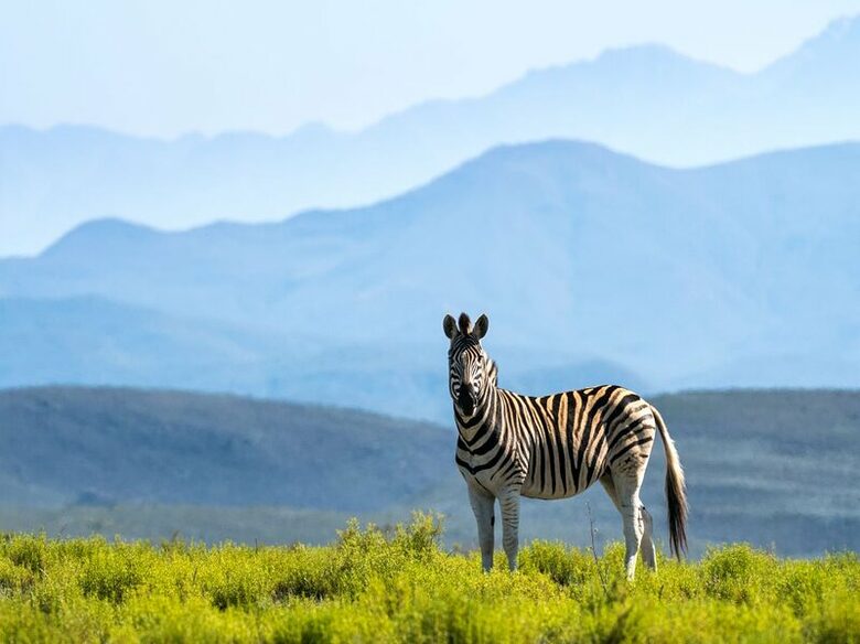 Melozhori Game Reserve | The Pod - Stormsvlei, South Africa