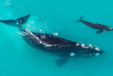 Melozhori Game Reserve | The Lodge | All-inclusive - Stormsvlei, South Africa