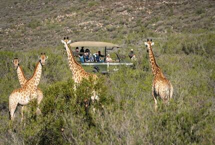 Melozhori Game Reserve | The Lodge | All-inclusive - Stormsvlei, South Africa