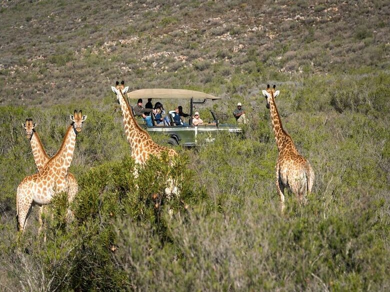 Melozhori Game Reserve | The Pod - Stormsvlei, South Africa