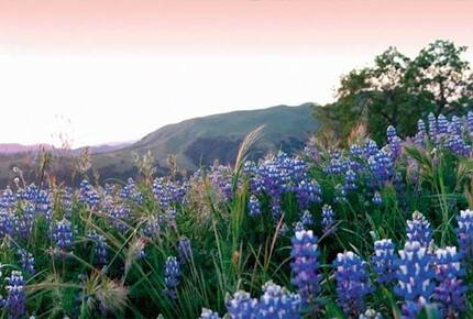 Santa Lucia Preserve - Carmel Valley, California