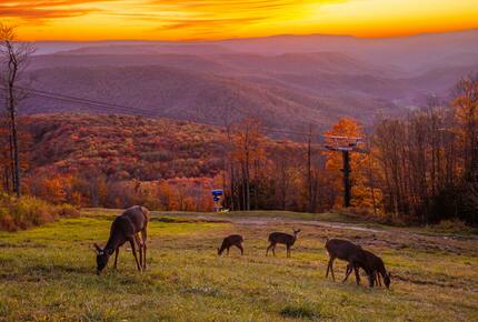 Snowshoe Camp 4 #28 - Snowshoe, West Virginia
