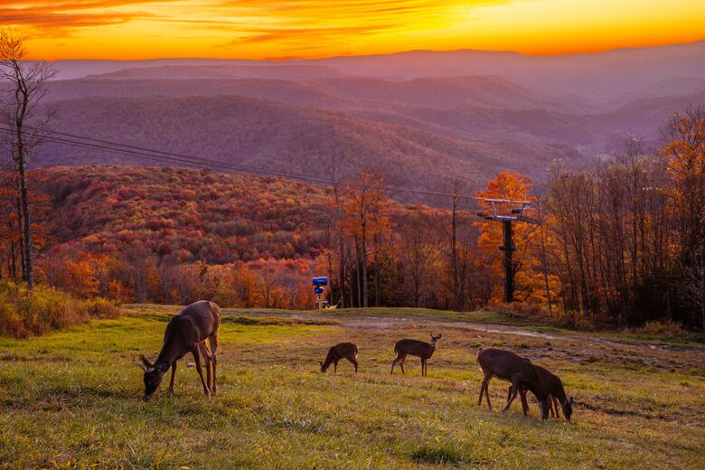 Snowshoe Camp 4 #28 - Snowshoe, West Virginia